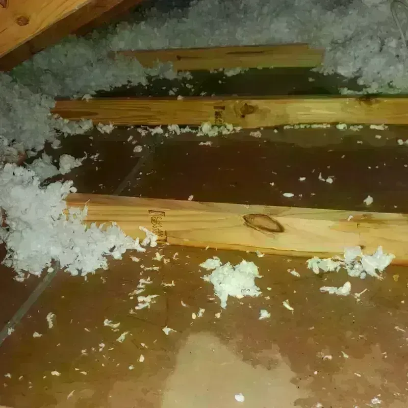 Attic Water Damage in Corona de Tucson, AZ