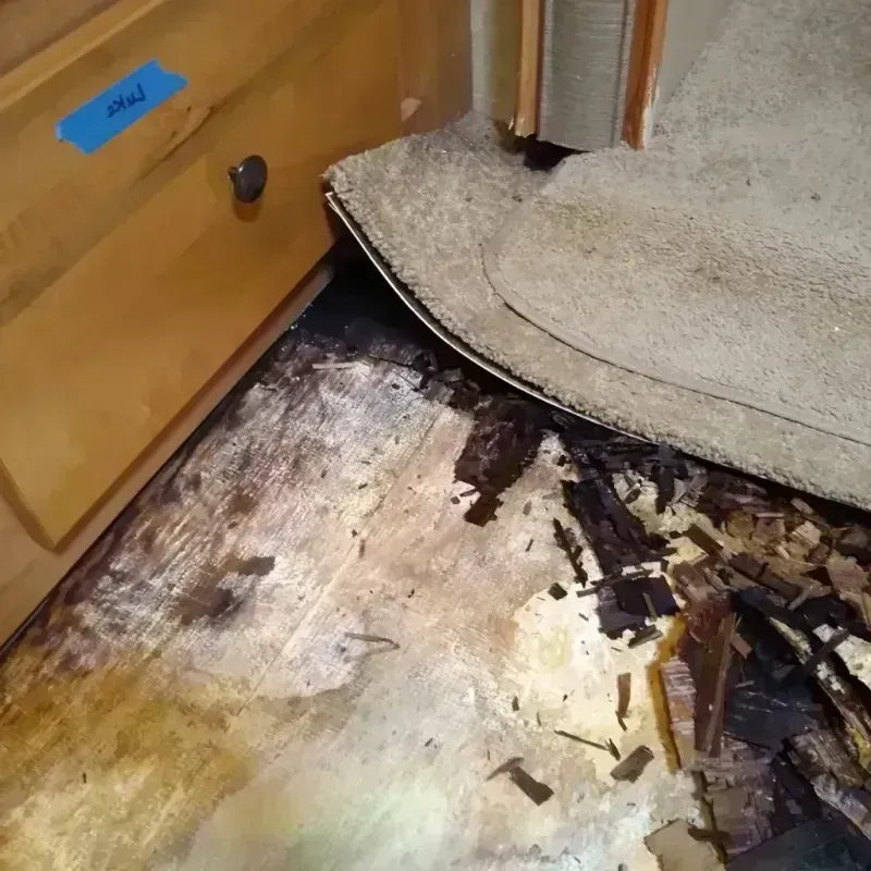 Wood Floor Water Damage in Corona de Tucson, AZ